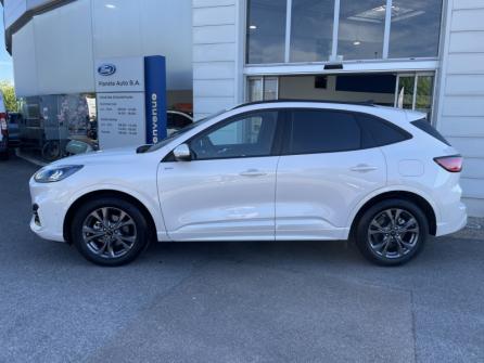 FORD Kuga 2.5 Duratec 190ch FHEV E85 ST-Line BVA à vendre à Auxerre - Image n°8