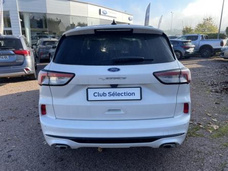 FORD Kuga 1.5 EcoBlue 120ch Vignale Powershift à vendre à Auxerre - Image n°6