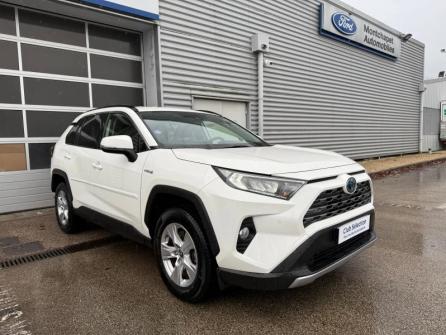 TOYOTA RAV4 Hybride 218ch Dynamic 2WD MY21 à vendre à Beaune - Image n°3