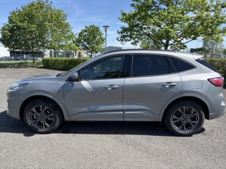 FORD Kuga 2.5 Duratec 225ch PHEV ST-Line X BVA à vendre à Bourges - Image n°8