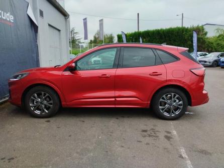 FORD Kuga 2.5 Duratec 190ch FHEV E85 ST-Line BVA à vendre à Nevers - Image n°8