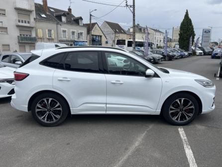 FORD Kuga 2.0 EcoBlue 150ch mHEV ST-Line à vendre à Orléans - Image n°4