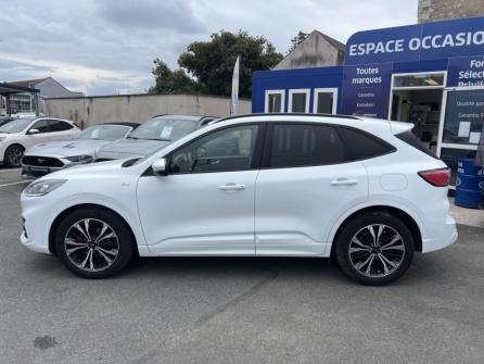 FORD Kuga 2.0 EcoBlue 150ch mHEV ST-Line à vendre à Orléans - Image n°8