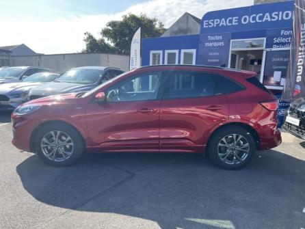 FORD Kuga 2.5 Duratec 190ch FHEV ST-Line X BVA à vendre à Orléans - Image n°8