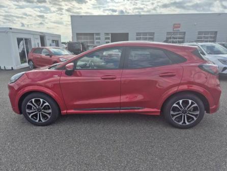 FORD Puma 1.0 Flexifuel 125ch S&S mHEV ST-Line à vendre à Montargis - Image n°8