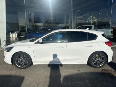 FORD Focus 1.5 EcoBlue 120ch ST-Line Business 92g à vendre à Auxerre - Image n°8